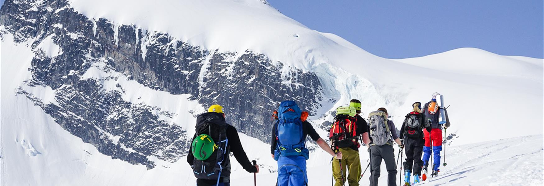 Media galleri, topptur, randorekke, mot storebjørn, jotunheimen