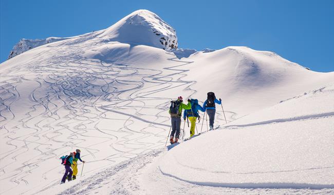Picture of randone hikers skiing towards the summit. Aktiv i Lom.