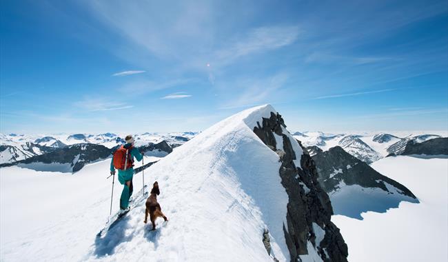 Top Ski Touring Routes in Norway