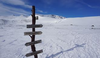 Klassikaren i Jotunheimen | Rundtur frå hytte til hytte