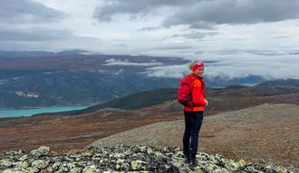 Turtips: Søre Koppe (1403 moh.) frå Brimi sæter