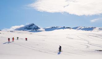 Topptur på ski: Store Smørstabbtinden (2208 m.o.h.)