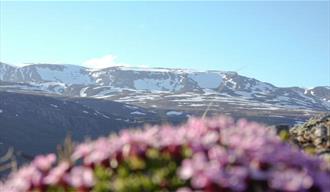 View over Hestbrepiggane.