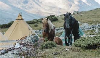 Fjelleventyret | Ridning i fjellet