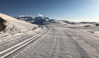 Summer skiing at Sognefjellet