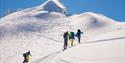 Picture of randone hikers skiing towards the summit. Aktiv i Lom.