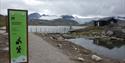 Viewpoint Sognefjellet