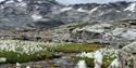 Frå Leirvassbu går ein gjennom Gravdalen mot Skogadalsbøen. Foto: Mari Arnøygard Wedum