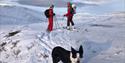 Topptur på ski til Kvitingskjølen, Lom Jotunheimen