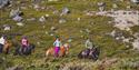 Horseback riding in Lundadalen.