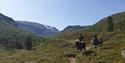 Horseback riding in Lundadalen.