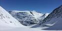 Topptur, bakarste skagsnebb, Jotunheimen