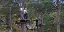 Climbing in Galdhøpiggen High Rope Course - Aktiv i Lom