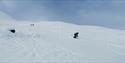 Skikøyring med Fyrst og Fremst i Jotunheimen.