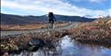 Sykling frå nasjonalparkgrensa i Veodalen inn til Glitterheim turisthytte, ca. 7 km.