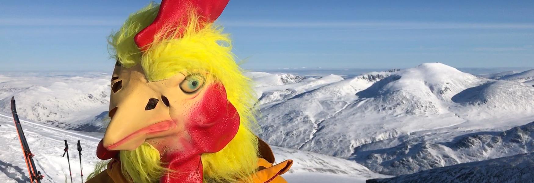 Påskekylling på Galdhøpiggen i februar 2019. Kyllingdrakt. Kylling på ski i strålande sol med vakre fjell. Foto: Thomas Gundersen, Visit Jotunheimen, Galdhøpiggen, topptur