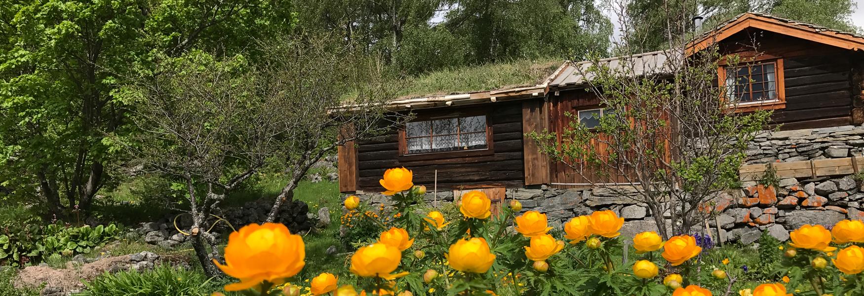 Haukdalen kunstnarheim, gardsturisme, gardsbruk, blomster, tømmerhus, hytte, tømmerhytte, historisk overnatting, Haukdalen kunstnarformidling