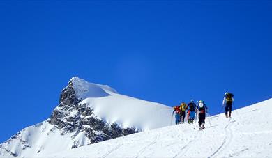 Gruppe på topptur på ski i Jotunheimen med Fyrst og Fremst