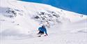Picture of a randone skier skiing downwards from the summit. Aktiv i Lom.