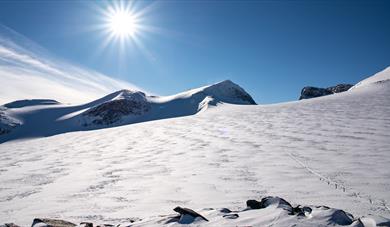 Topptur på ski: Galdhøpiggen frå Leirvassbu - klassisk fjellskitur (2469 m.o.h.)