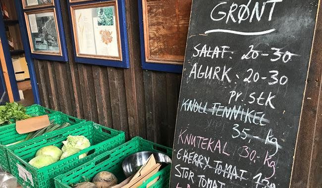 Nordgard Aukrust, herb garden and local food shop