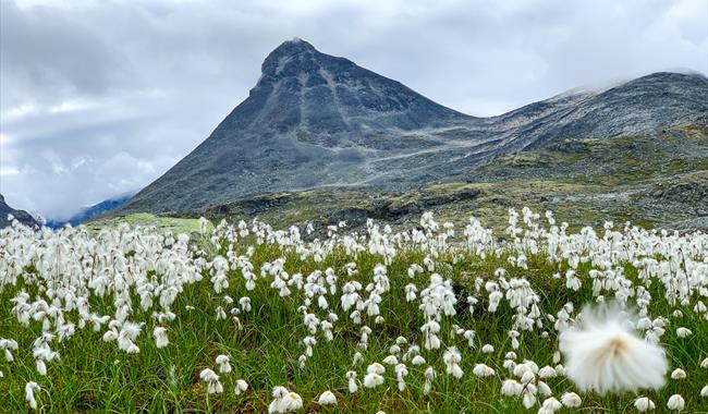 Kyrkja 2032 moh i Jotunheimen. Topp som eit kyrkjespir og populær fjelltur midt i Jotunheimen.