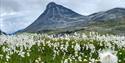 Kyrkja 2032 moh i Jotunheimen. Topp som eit kyrkjespir og populær fjelltur midt i Jotunheimen.