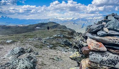 Turtips: Såleggi 1540 moh. | frå Soleggen fjellstue