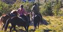 Horseback riding on Icelandic horses.