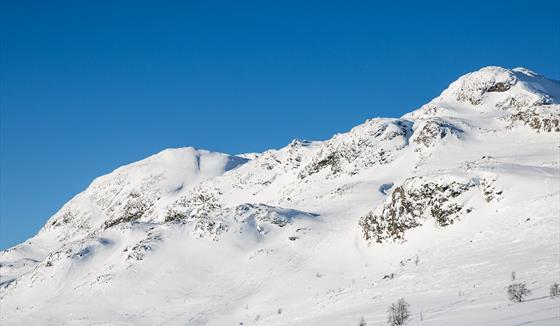Toppturkurs Ski & skred på Gjendesheim