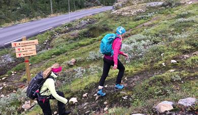 Turtips: I Monsen sine fotspor frå Bøverton til Sognefjellshytta