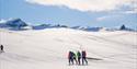 Picture of a group of randone ski hikers, crossing the Smørstabbreen glacier towards a summit.