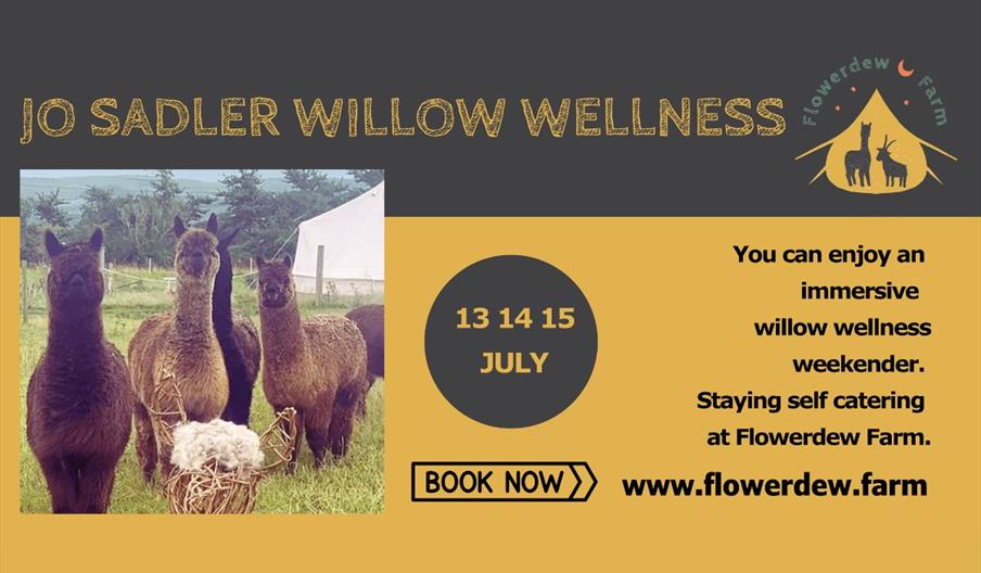 Willow Wellness Weekender With Jo Sadler Willow