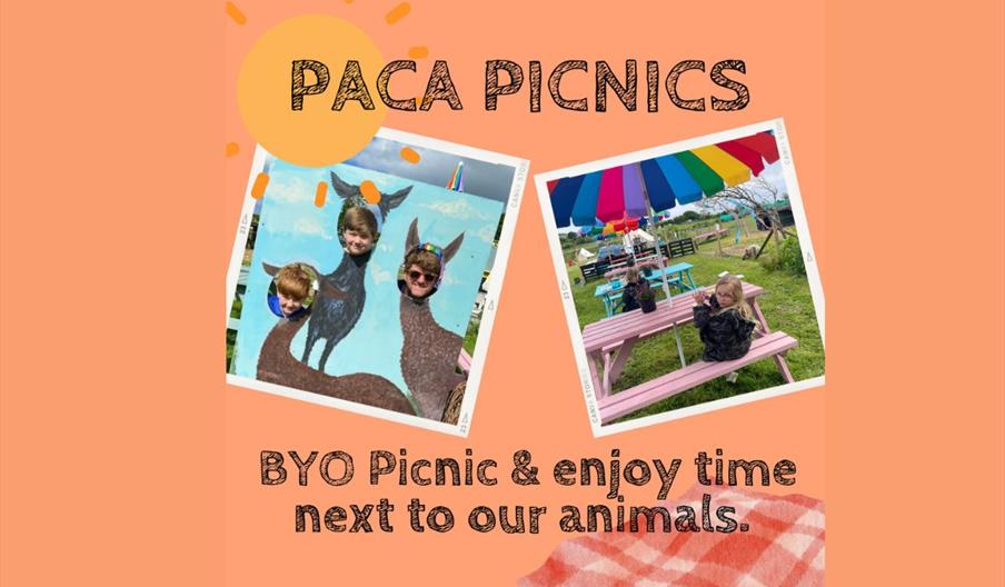 Paca Picnics