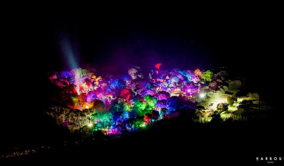 Aerial view of Abbotsbury Subtropical Gardens illuminated by a light display of many vivid colours.