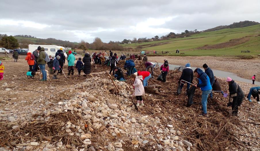 A large group of people cleaning up rubbish from a beach