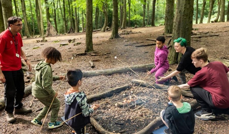 Picture of some adults and children in a wooded area using sticks to cook marshmallows over a fire