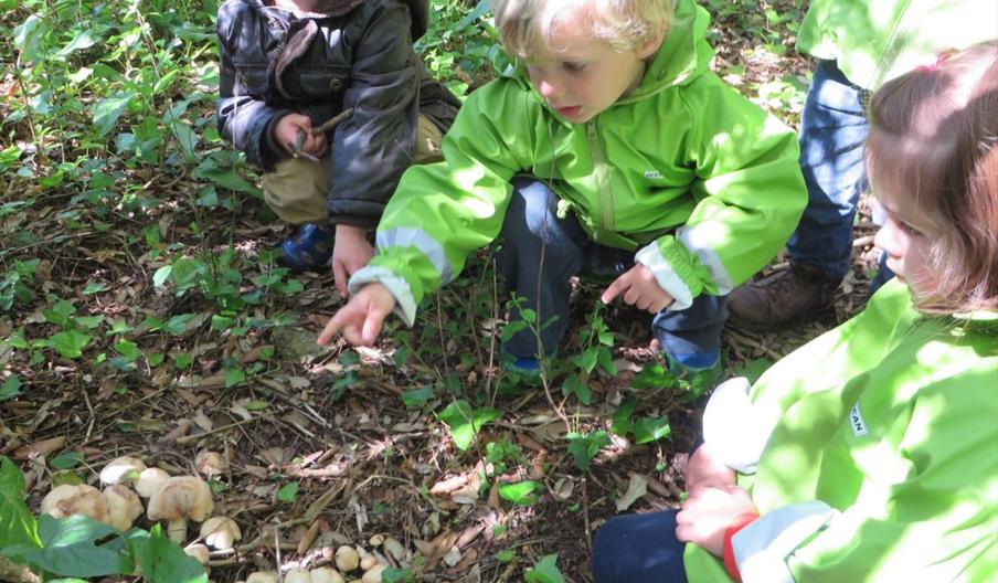 picture of children bending down looking at leaves on the ground