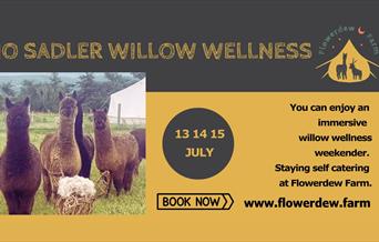 Willow Wellness Weekender With Jo Sadler Willow