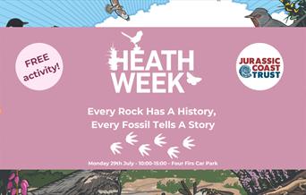 Pink Poster stating it's a free activity, Jurassic Coast Trust logo, sharing the date of 29th July 10 am - 3 pm in Four Firs Car park