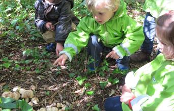 picture of children bending down looking at leaves on the ground