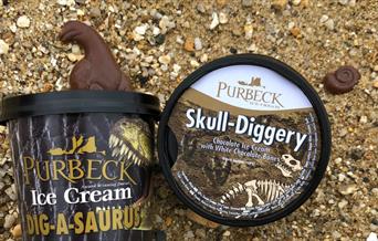 Purbeck Ice Cream