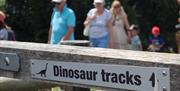 Dinosaur tracks sign at the Spyway Dinosaur footprints site