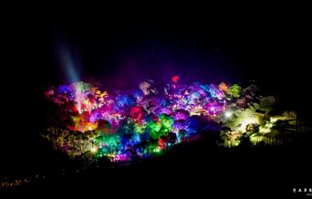 Aerial view of Abbotsbury Subtropical Gardens illuminated by a light display of many vivid colours.
