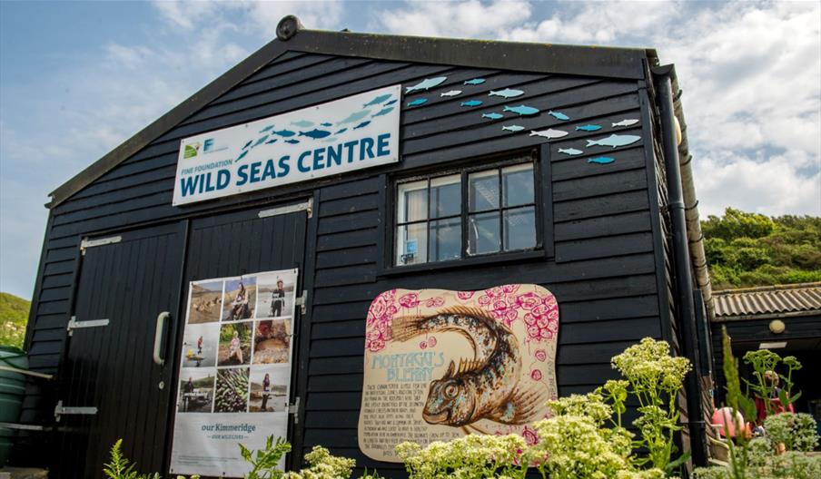 Wild Seas Centre