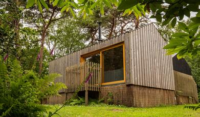 Burnbake Forest Lodges and Campsite