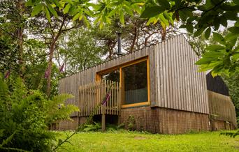 Burnbake Forest Lodges and Campsite