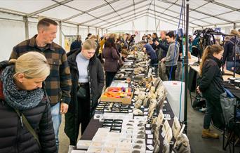 Photographic image showing people perusing the fossils on display at Lyme Regis Fossil Festival