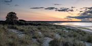 Dunes at Studland Bay at dusk.