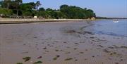 Studland South Beach low tide